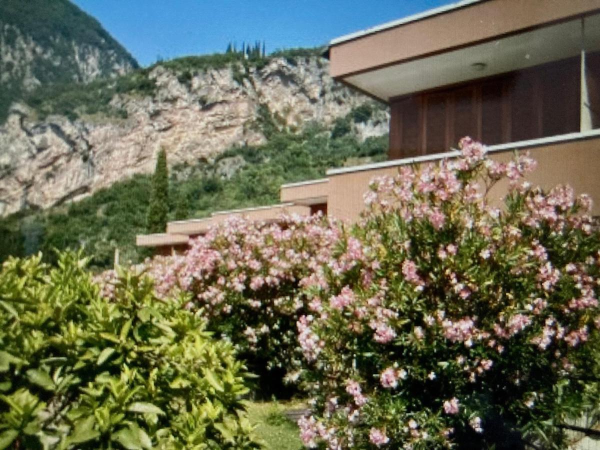 Appartamento Peppino Mit Seeblick Und Pool Riva del Garda Exterior foto